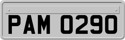 PAM0290