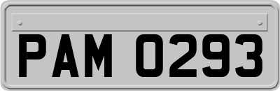 PAM0293