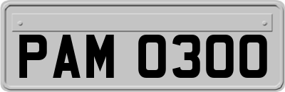 PAM0300
