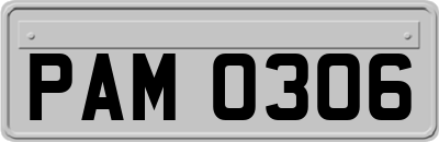PAM0306