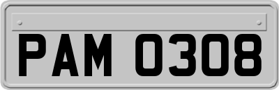 PAM0308