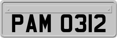 PAM0312