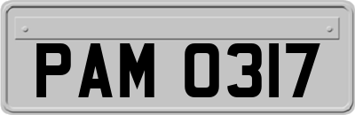 PAM0317