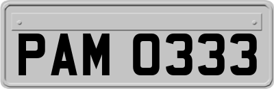 PAM0333