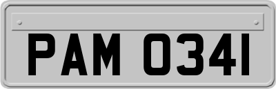 PAM0341