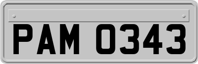 PAM0343