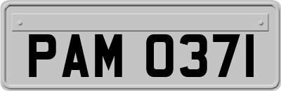 PAM0371