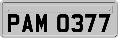 PAM0377