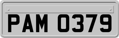 PAM0379