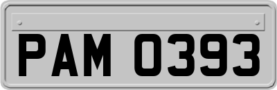 PAM0393