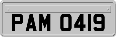 PAM0419