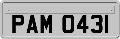 PAM0431