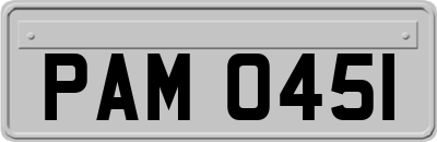 PAM0451