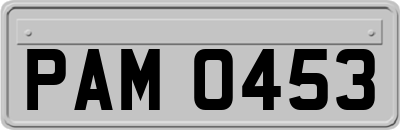 PAM0453