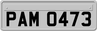 PAM0473