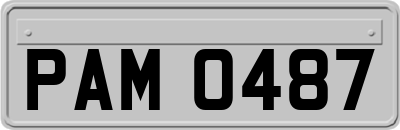 PAM0487