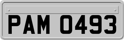 PAM0493
