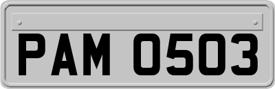 PAM0503