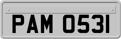 PAM0531