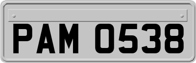 PAM0538