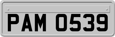 PAM0539