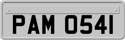 PAM0541