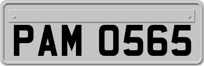 PAM0565