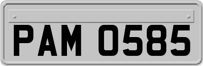 PAM0585