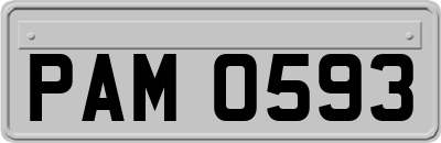 PAM0593