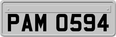 PAM0594