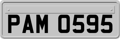 PAM0595