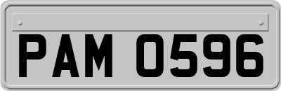PAM0596
