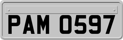 PAM0597