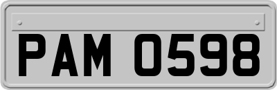 PAM0598