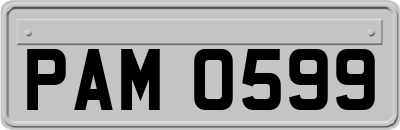 PAM0599