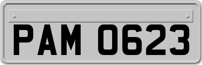 PAM0623