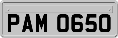 PAM0650