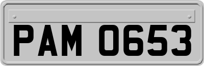 PAM0653