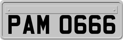 PAM0666