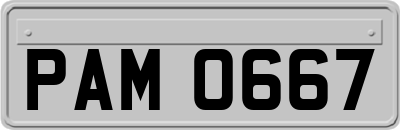 PAM0667
