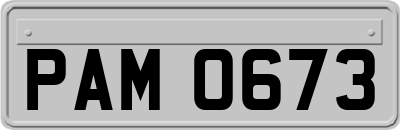 PAM0673
