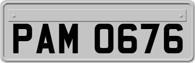 PAM0676