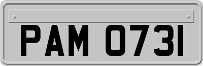 PAM0731