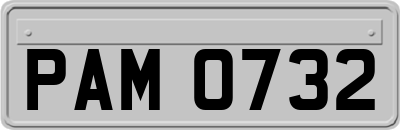 PAM0732