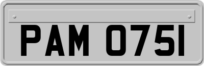 PAM0751