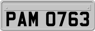 PAM0763