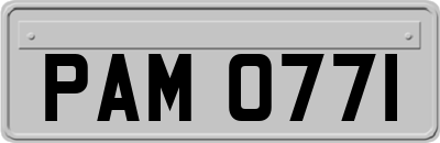 PAM0771