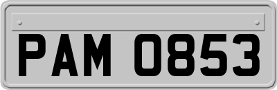 PAM0853