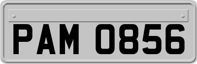 PAM0856
