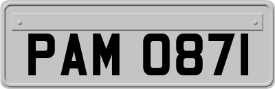 PAM0871